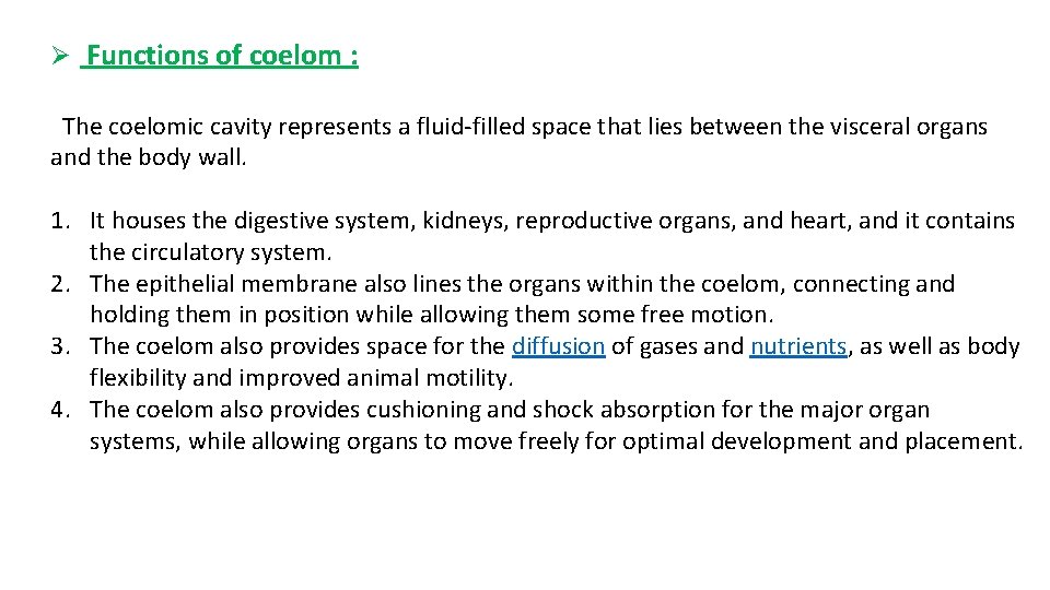 Ø Functions of coelom : The coelomic cavity represents a fluid-filled space that lies