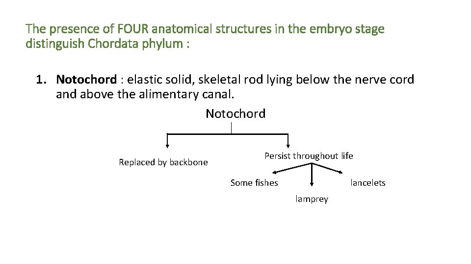The presence of FOUR anatomical structures in the embryo stage distinguish Chordata phylum :