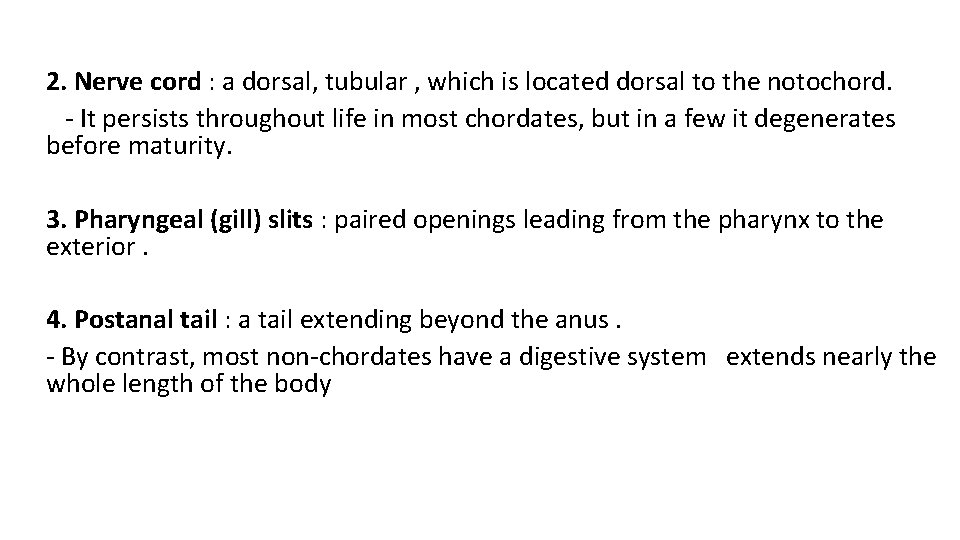 2. Nerve cord : a dorsal, tubular , which is located dorsal to the