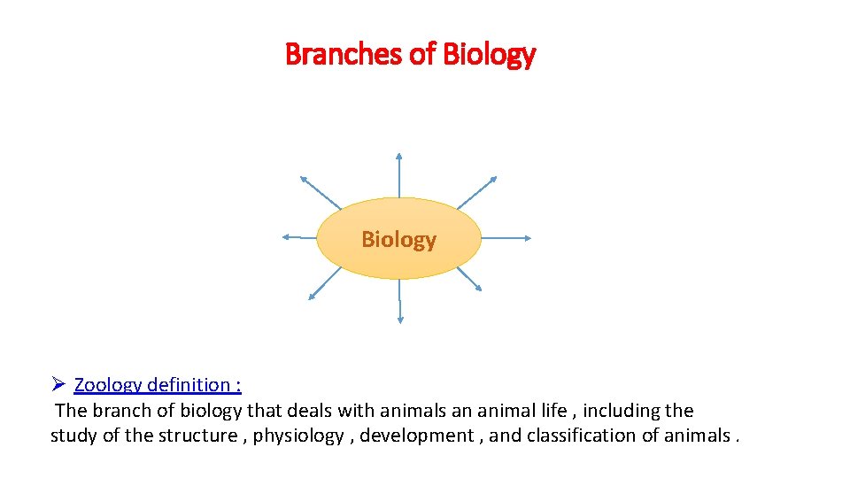Branches of Biology Ø Zoology definition : The branch of biology that deals with