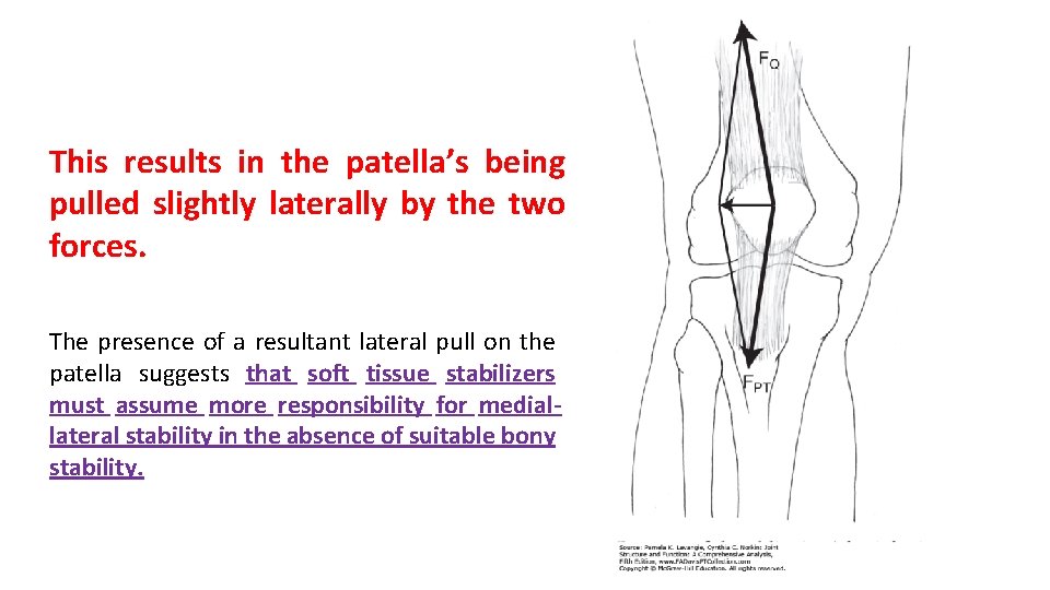 This results in the patella’s being pulled slightly laterally by the two forces. The