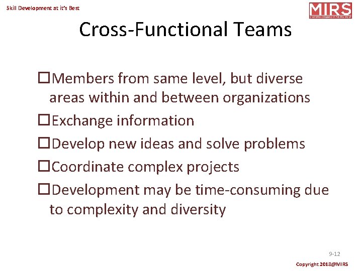 Skill Development at it’s Best Cross-Functional Teams Members from same level, but diverse areas