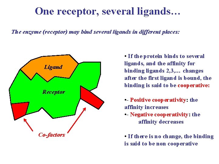 One receptor, several ligands… The enzyme (receptor) may bind several ligands in different places: