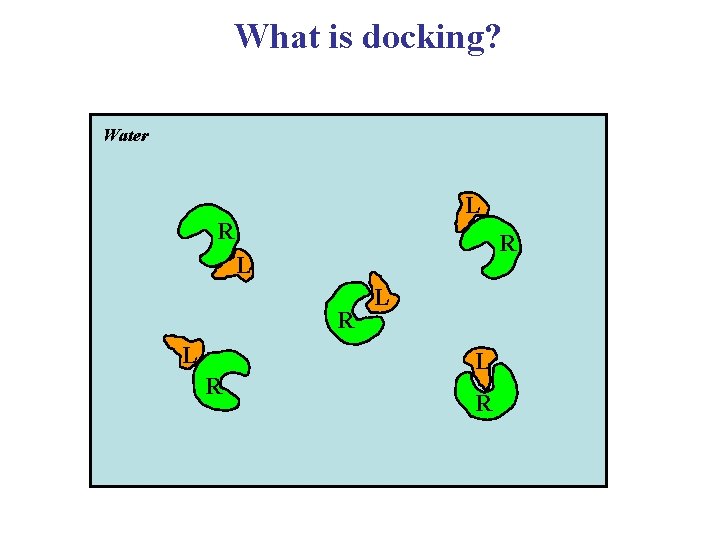 What is docking? Water L R R L R L L R 