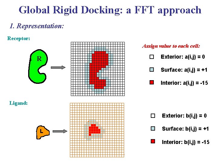 Global Rigid Docking: a FFT approach 1. Representation: Receptor: Assign value to each cell: