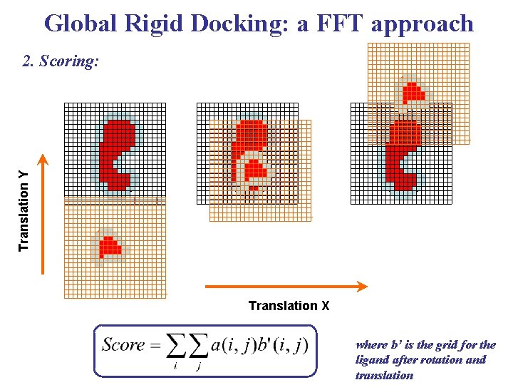 Global Rigid Docking: a FFT approach 2. Scoring: L Translation Y R R R