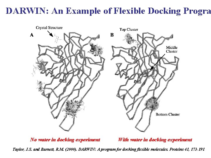 DARWIN: An Example of Flexible Docking Progra No water in docking experiment With water