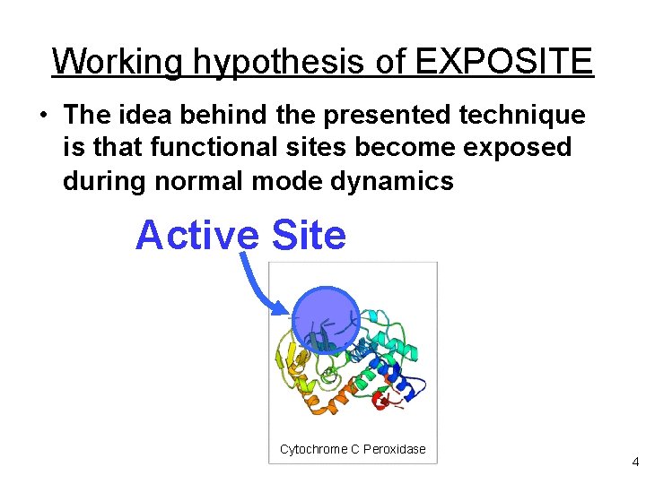 Working hypothesis of EXPOSITE • The idea behind the presented technique is that functional