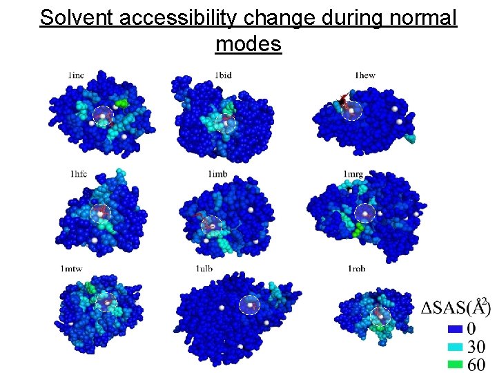 Solvent accessibility change during normal modes 5 