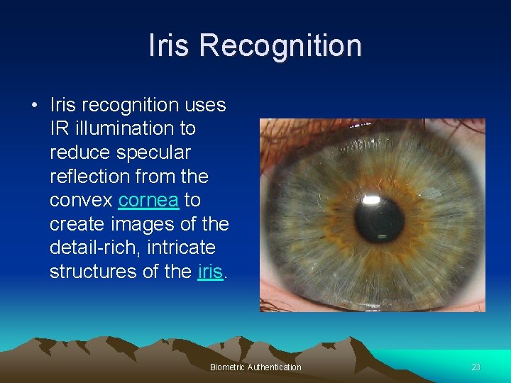 Iris Recognition • Iris recognition uses IR illumination to reduce specular reflection from the