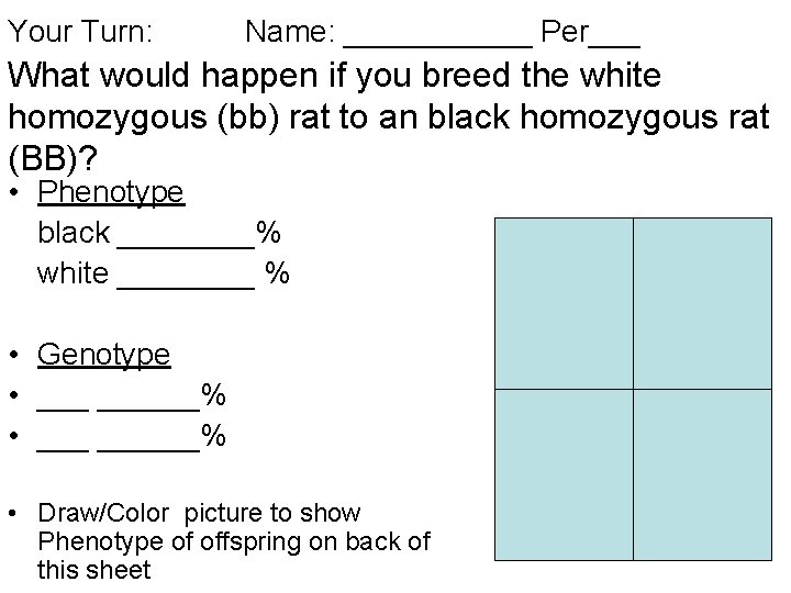 Your Turn: Name: ______ Per___ What would happen if you breed the white homozygous