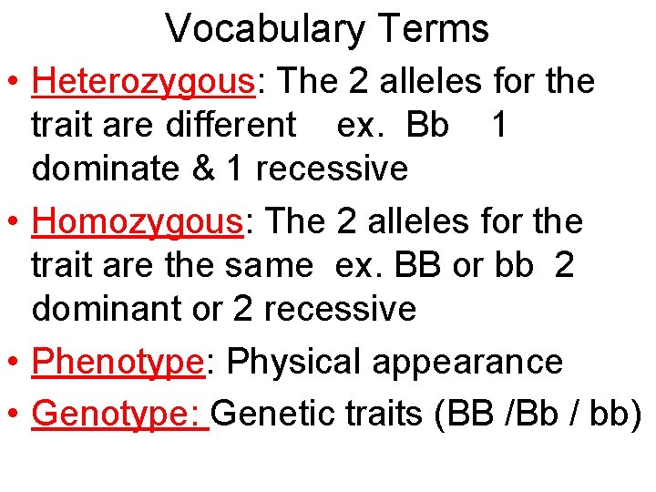 Vocabulary Terms • Heterozygous: The 2 alleles for the trait are different ex. Bb