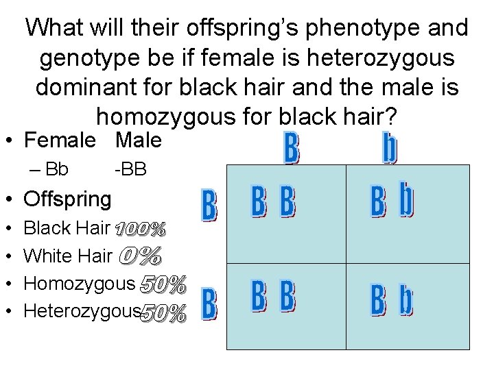 What will their offspring’s phenotype and genotype be if female is heterozygous dominant for
