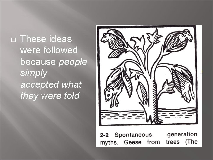  These ideas were followed because people simply accepted what they were told 