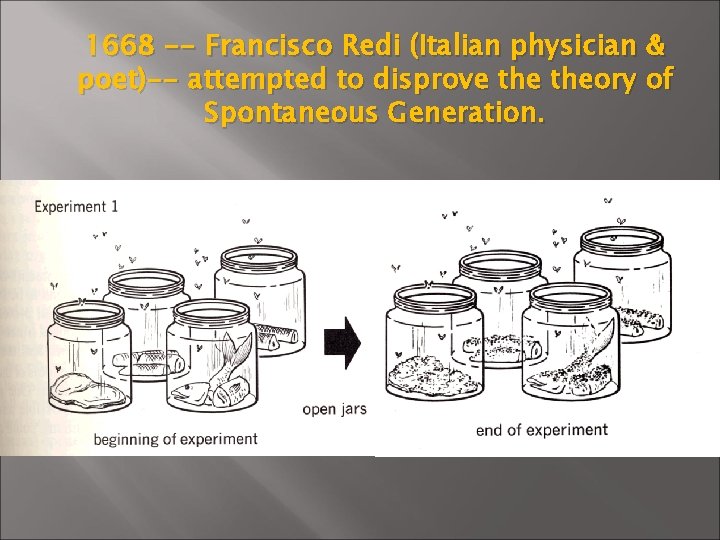 1668 -- Francisco Redi (Italian physician & poet)-- attempted to disprove theory of Spontaneous