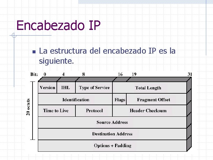 Encabezado IP n La estructura del encabezado IP es la siguiente. 