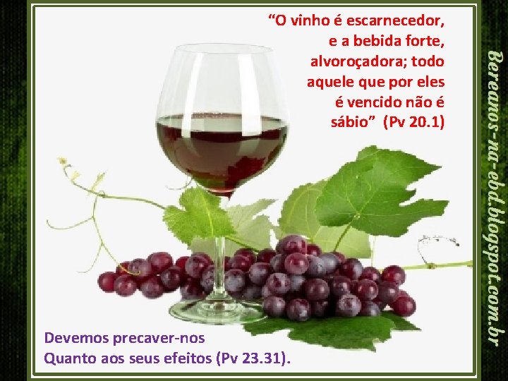 “O vinho é escarnecedor, e a bebida forte, alvoroçadora; todo aquele que por eles