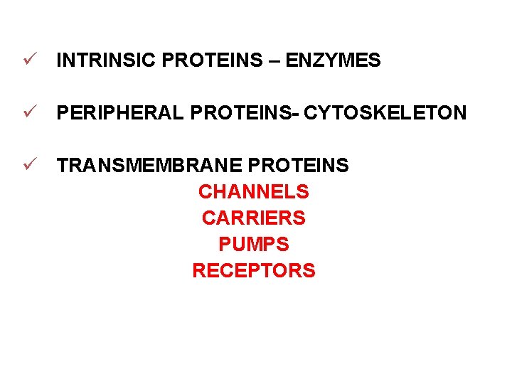 ü INTRINSIC PROTEINS – ENZYMES ü PERIPHERAL PROTEINS- CYTOSKELETON ü TRANSMEMBRANE PROTEINS CHANNELS CARRIERS