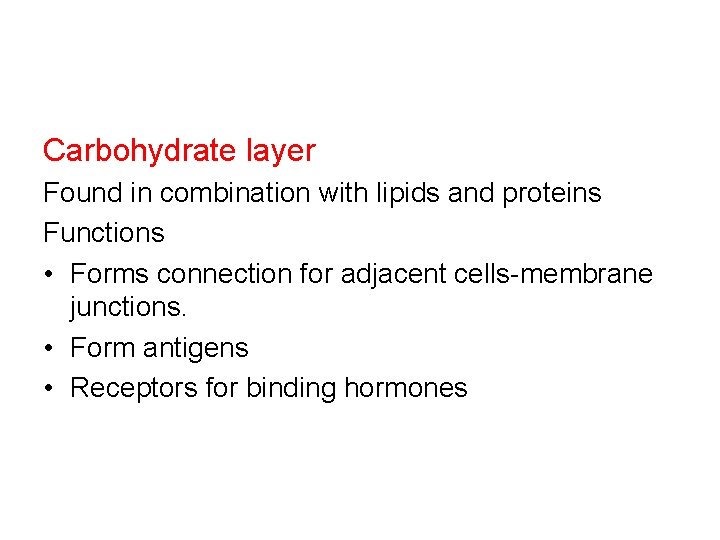 Carbohydrate layer Found in combination with lipids and proteins Functions • Forms connection for