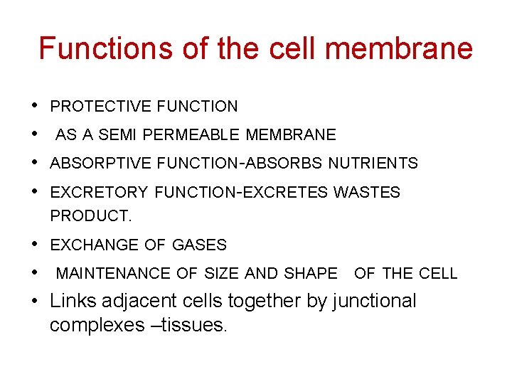 Functions of the cell membrane • • PROTECTIVE FUNCTION AS A SEMI PERMEABLE MEMBRANE