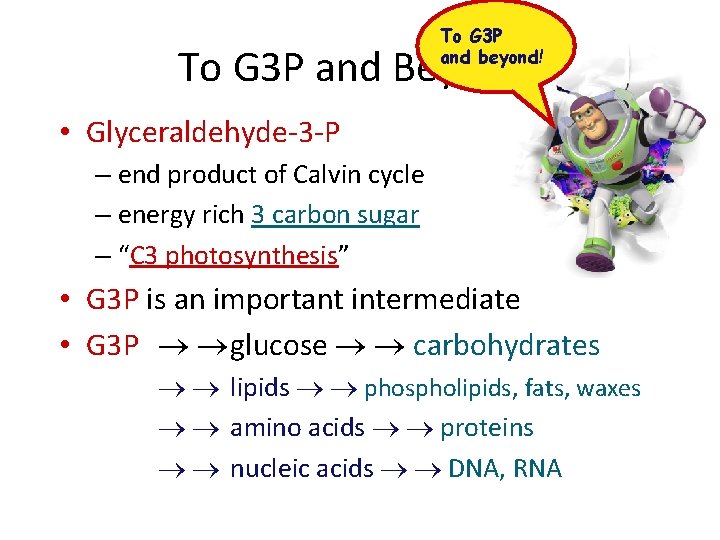 To G 3 P and beyond! To G 3 P and Beyond! • Glyceraldehyde-3