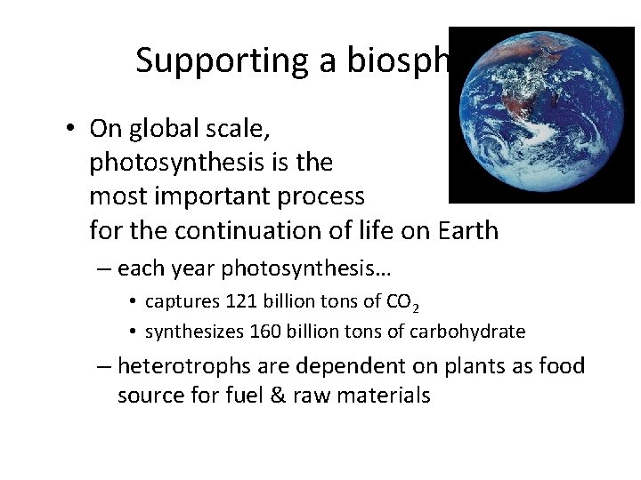 Supporting a biosphere • On global scale, photosynthesis is the most important process for