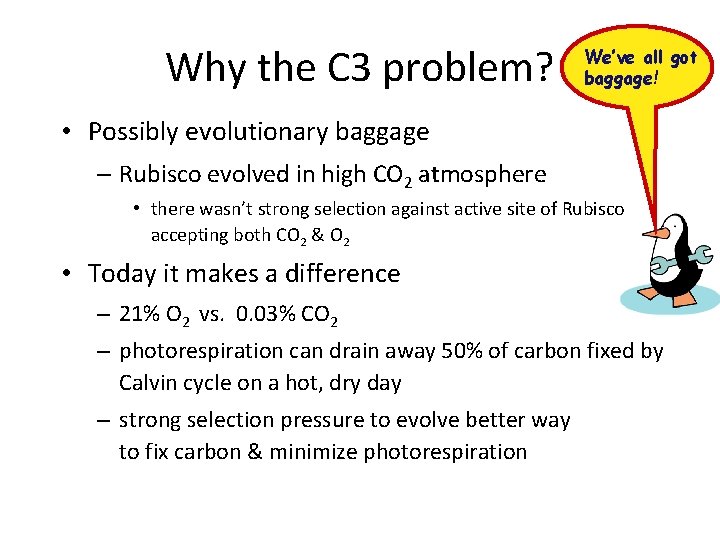 Why the C 3 problem? We’ve all got baggage! • Possibly evolutionary baggage –