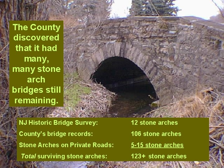 The County discovered that it had many, many stone arch bridges still remaining. NJ
