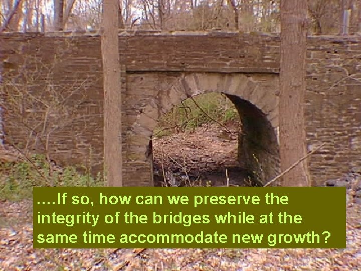 . …If so, how can we preserve the integrity of the bridges while at