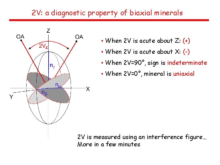 2 V: a diagnostic property of biaxial minerals • When 2 V is acute