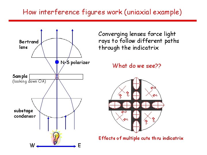 How interference figures work (uniaxial example) Converging lenses force light rays to follow different
