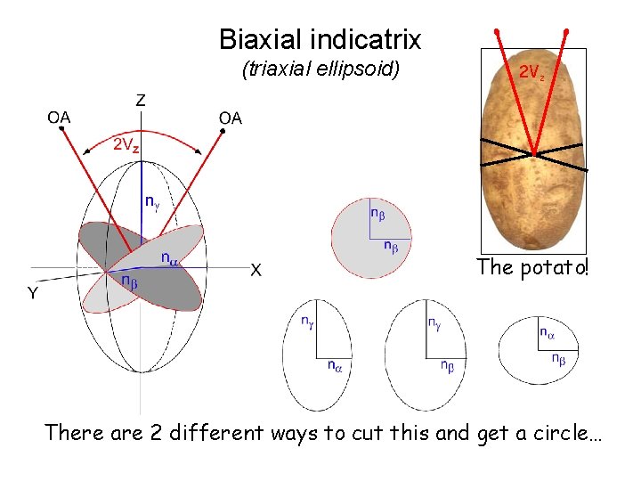 Biaxial indicatrix (triaxial ellipsoid) 2 Vz The potato! There are 2 different ways to