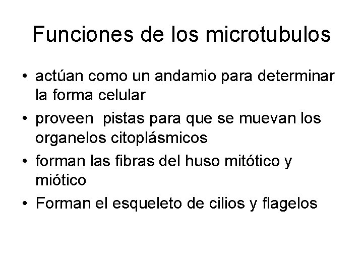 Funciones de los microtubulos • actúan como un andamio para determinar la forma celular