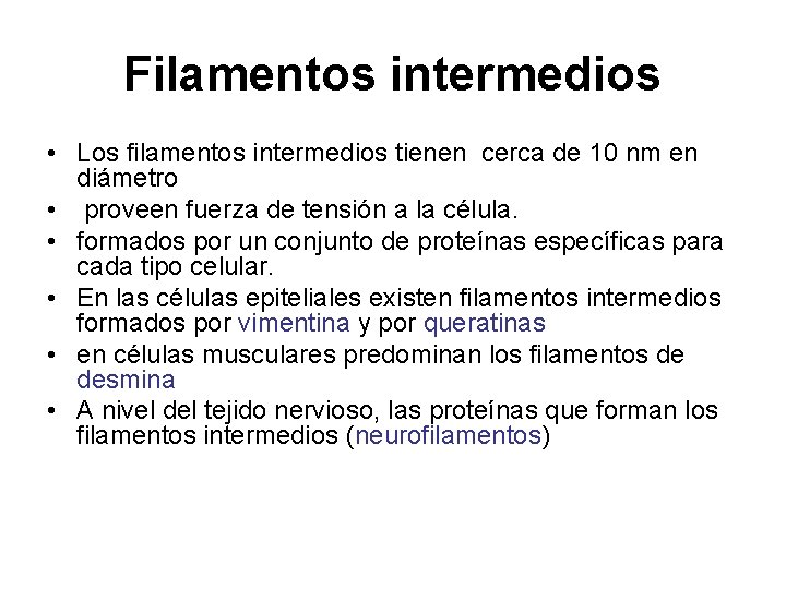 Filamentos intermedios • Los filamentos intermedios tienen cerca de 10 nm en diámetro •