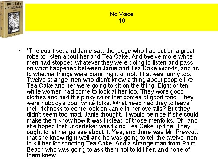 No Voice 19 • "The court set and Janie saw the judge who had