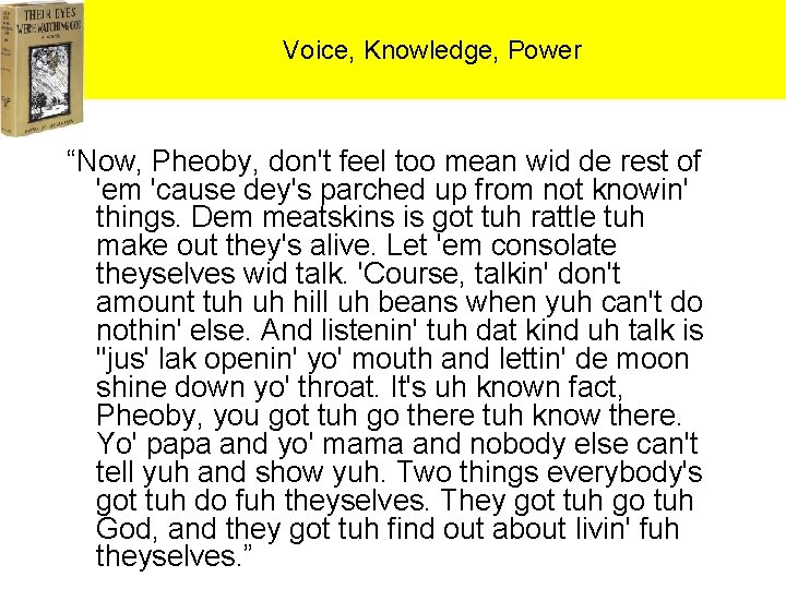 Voice, Knowledge, Power “Now, Pheoby, don't feel too mean wid de rest of 'em
