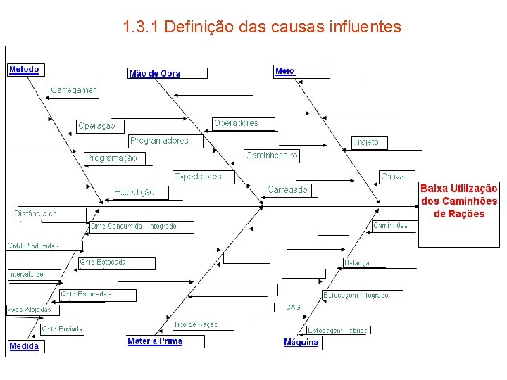 1. 3. 1 Definição das causas influentes 