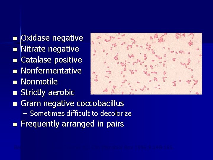 n n n n Oxidase negative Nitrate negative Catalase positive Nonfermentative Nonmotile Strictly aerobic