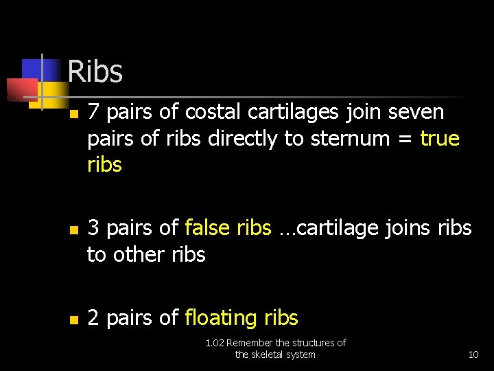 Ribs n n n 7 pairs of costal cartilages join seven pairs of ribs