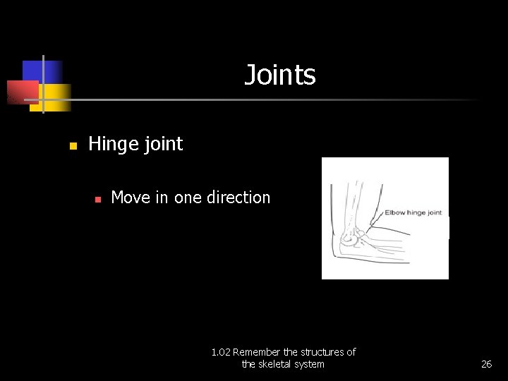 Joints n Hinge joint n Move in one direction 1. 02 Remember the structures