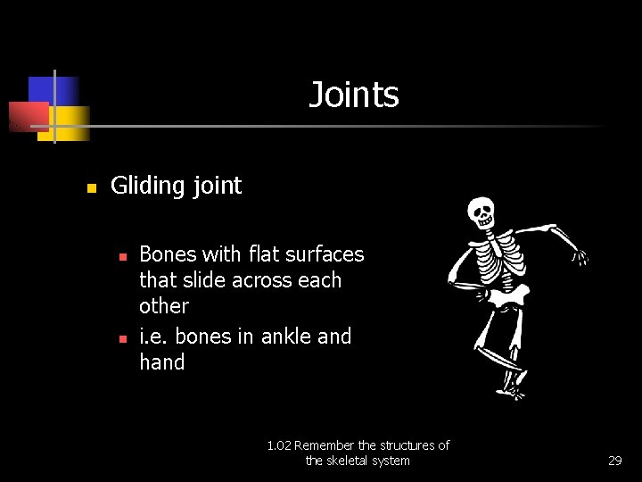 Joints n Gliding joint n n Bones with flat surfaces that slide across each