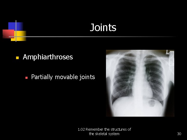 Joints n Amphiarthroses n Partially movable joints 1. 02 Remember the structures of the