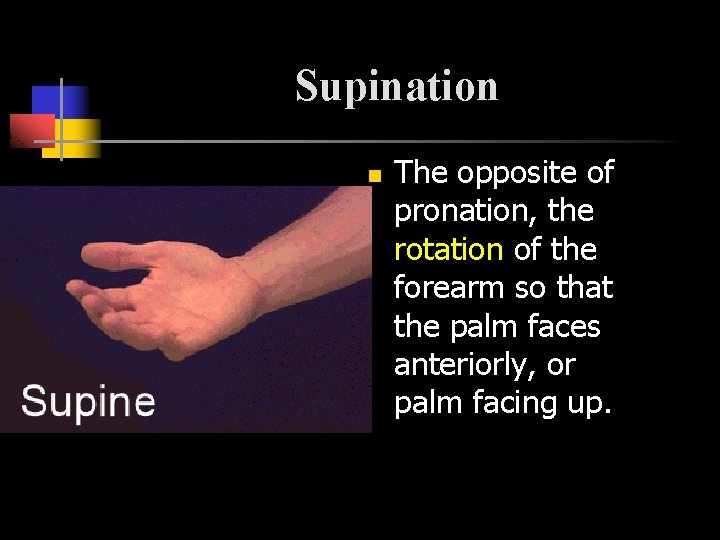 Supination n The opposite of pronation, the rotation of the forearm so that the