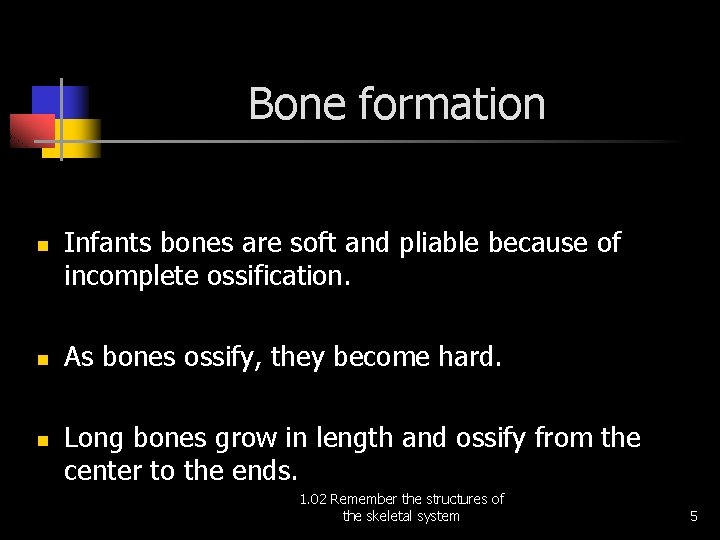 Bone formation n Infants bones are soft and pliable because of incomplete ossification. As