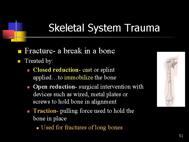 Skeletal System Trauma n n Fracture- a break in a bone Treated by: n