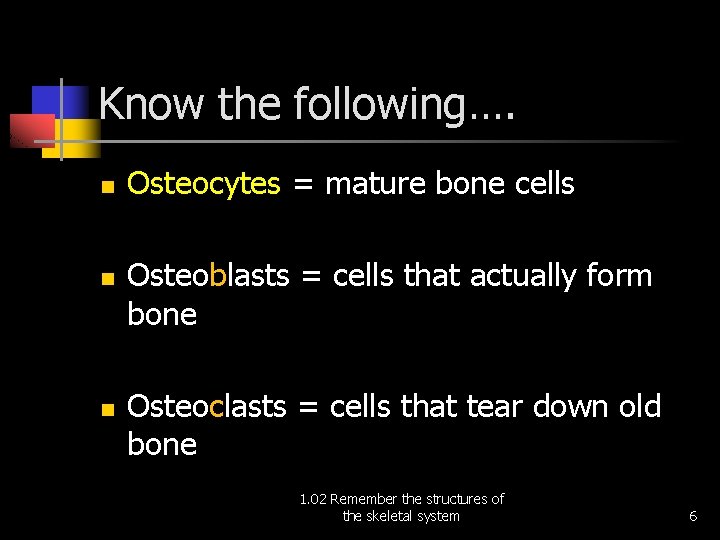 Know the following…. n n n Osteocytes = mature bone cells Osteoblasts = cells