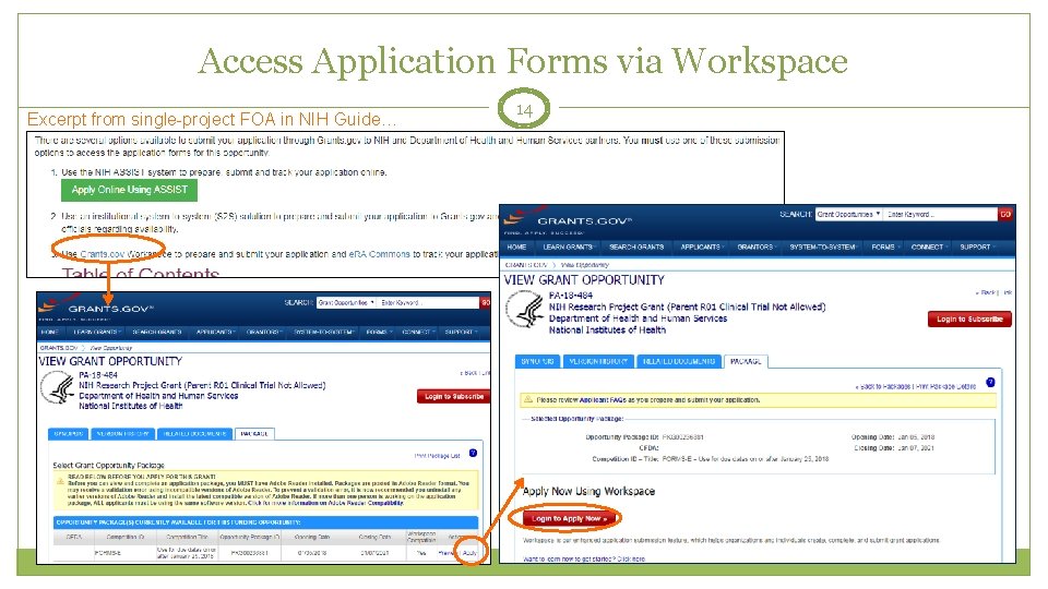 Access Application Forms via Workspace Excerpt from single-project FOA in NIH Guide… 14 