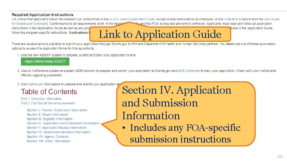 Link to Application Guide Section IV. Application and Submission Information • Includes any FOA-specific