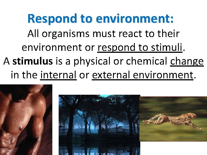Respond to environment: All organisms must react to their environment or respond to stimuli.