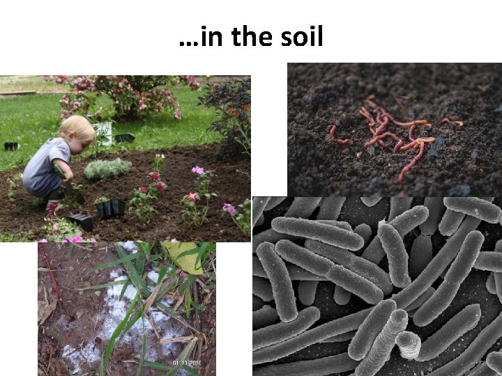 …in the soil 